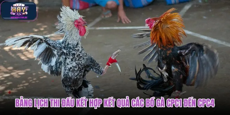 bang-lich-thi-dau-ket-hop-ket-qua-cac-bo-ga-cpc1-den-cpc4 bang-lich-thi-dau-ket-hop-ket-qua-cac-bo-ga-cpc1-den-cpc4