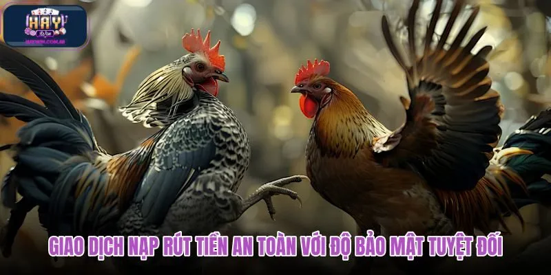 giao-dich-nap-rut-tien-an-toan-voi-do-bao-mat-tuyet-doi giao-dich-nap-rut-tien-an-toan-voi-do-bao-mat-tuyet-doi