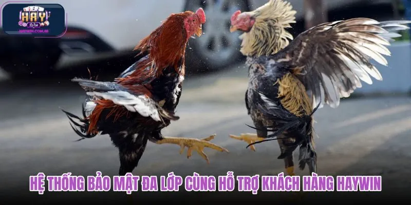 he-thong-bao-mat-da-lop-cung-ho-tro-khach-hang-haywin he-thong-bao-mat-da-lop-cung-ho-tro-khach-hang-haywin