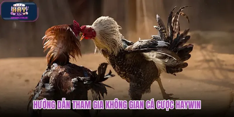 huong-dan-tham-gia-khong-gian-ca-cuoc-haywin huong-dan-tham-gia-khong-gian-ca-cuoc-haywin