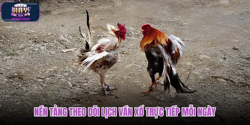 nen-tang-theo-doi-lich-van-xo-truc-tiep-moi-ngay nen-tang-theo-doi-lich-van-xo-truc-tiep-moi-ngay