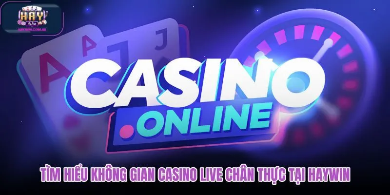 tim-hieu-khong-gian-casino-live-chan-thuc-tai-haywin tim-hieu-khong-gian-casino-live-chan-thuc-tai-haywin